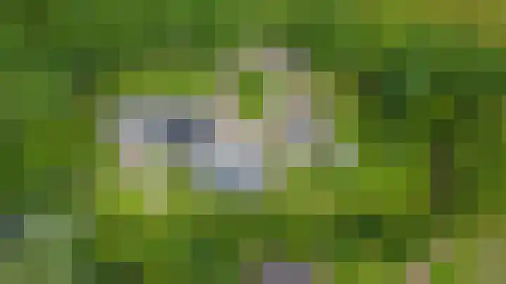 Warmseweg 2 Etten thumbnail 55