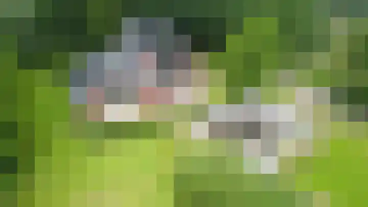 Warmseweg 2 Etten thumbnail 61