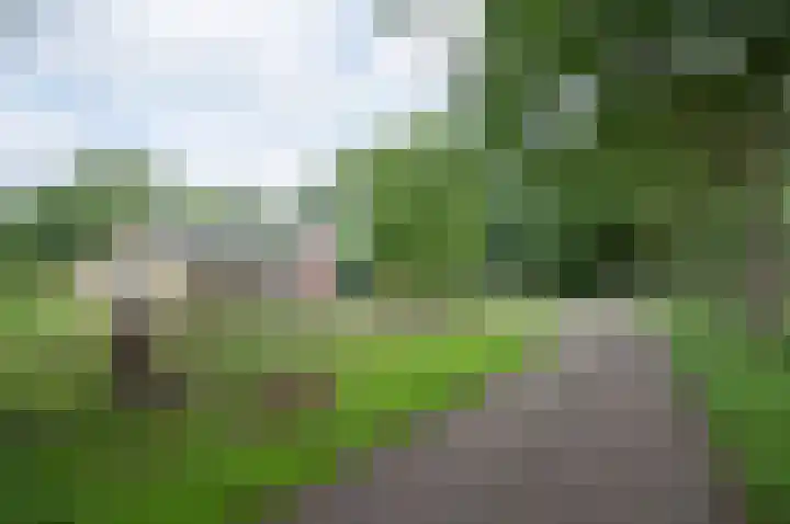 Warmseweg 2 Etten thumbnail 64
