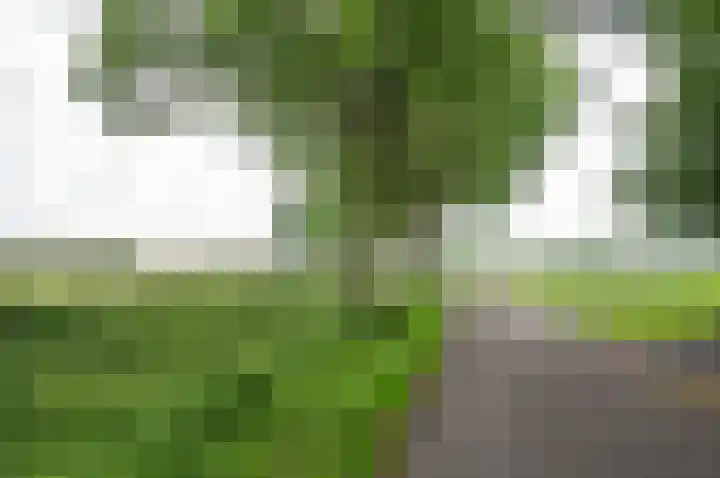 Warmseweg 2 Etten thumbnail 65