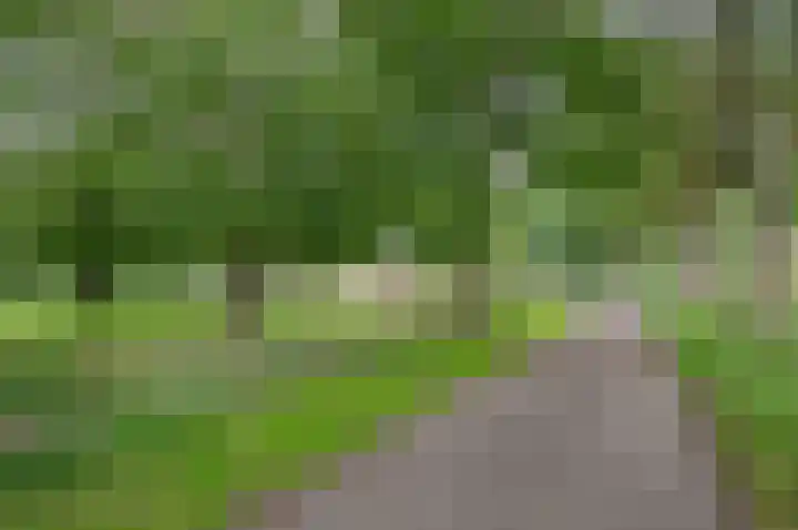 Warmseweg 2 Etten thumbnail 66