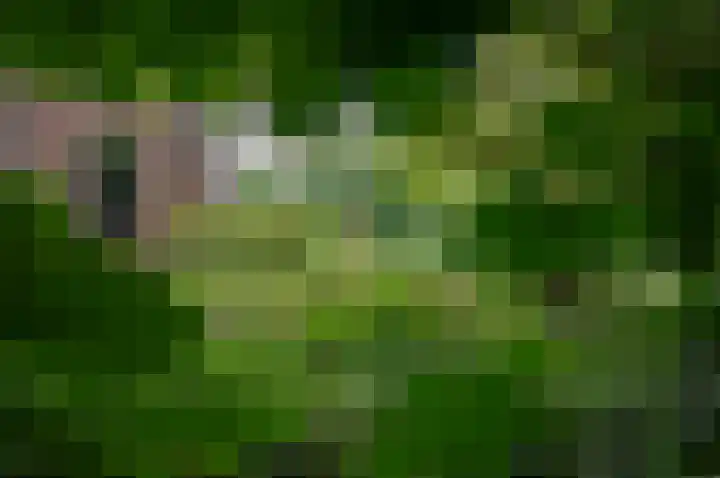 Warmseweg 2 Etten thumbnail 69