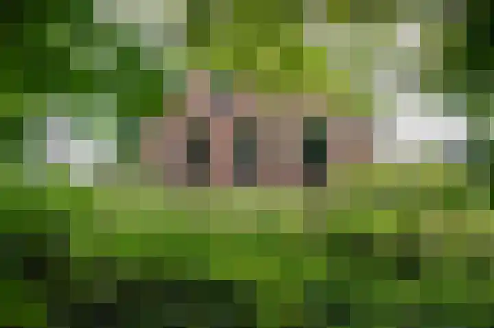 Warmseweg 2 Etten thumbnail 70