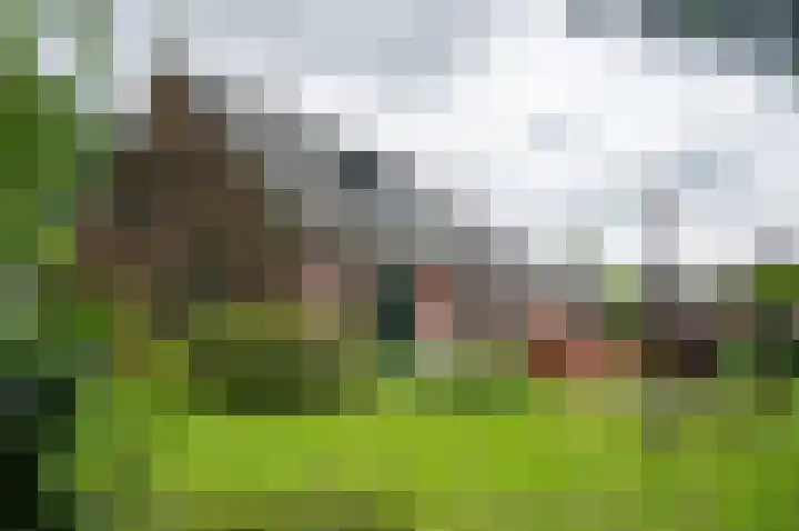 Warmseweg 2 Etten thumbnail 71