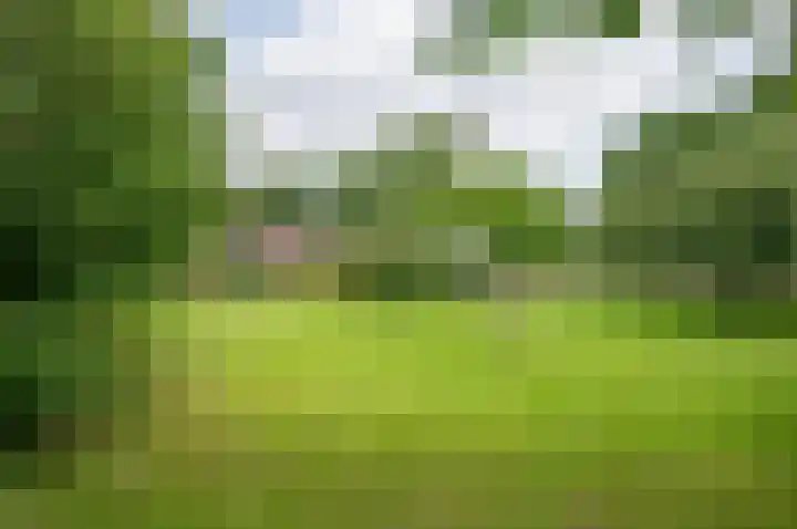 Warmseweg 2 Etten thumbnail 78