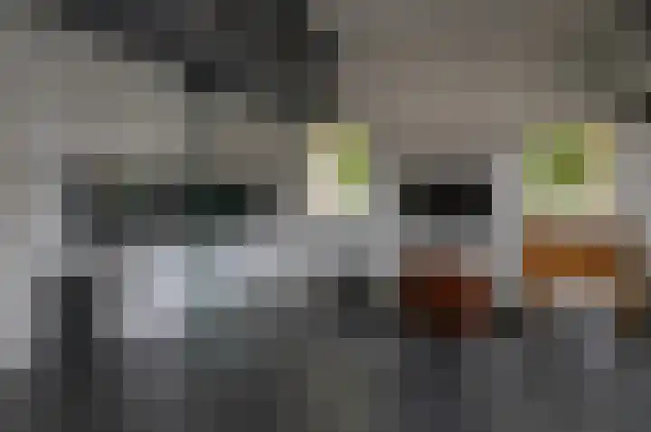 Warmseweg 2 Etten thumbnail 9