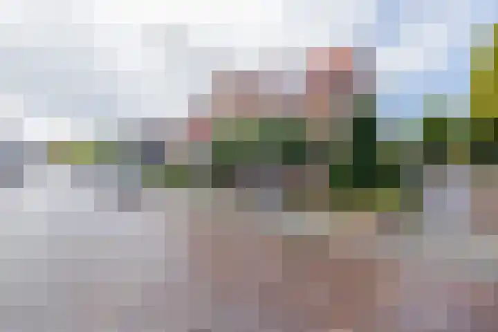 Warmundastraat 33 Warmond thumbnail 42