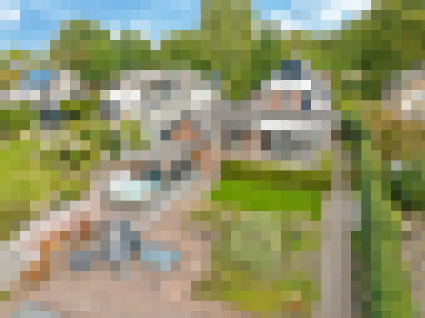 Warnersstraat 4 Gaanderen thumbnail 102