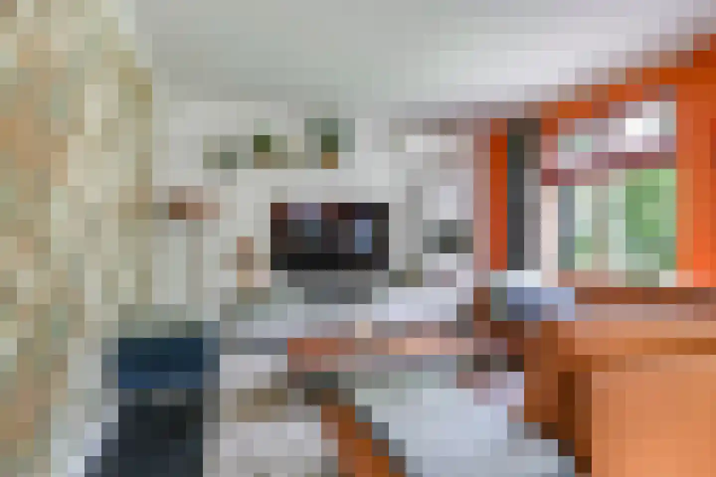 Warnersstraat 4 Gaanderen thumbnail 14