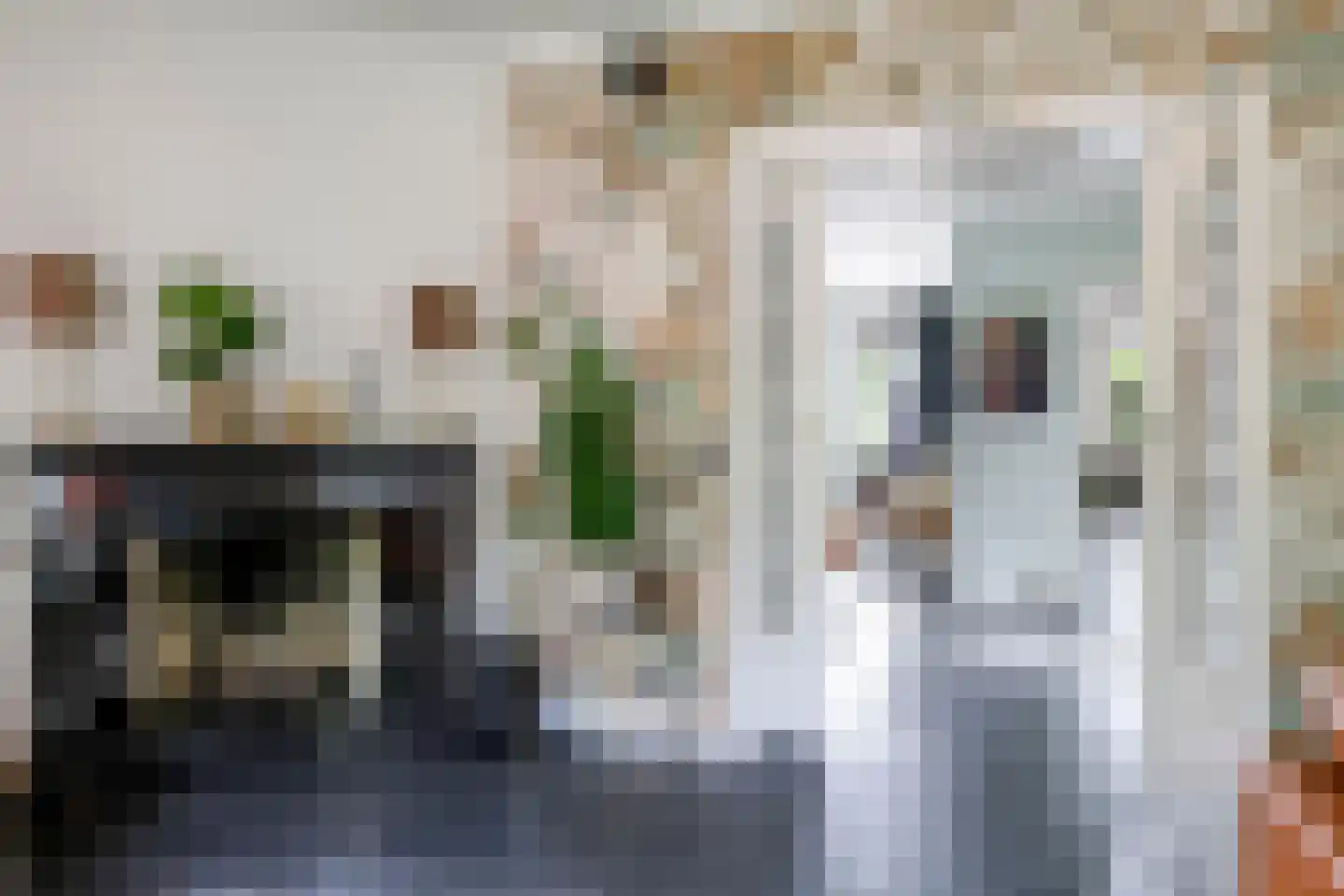Warnersstraat 4 Gaanderen thumbnail 17