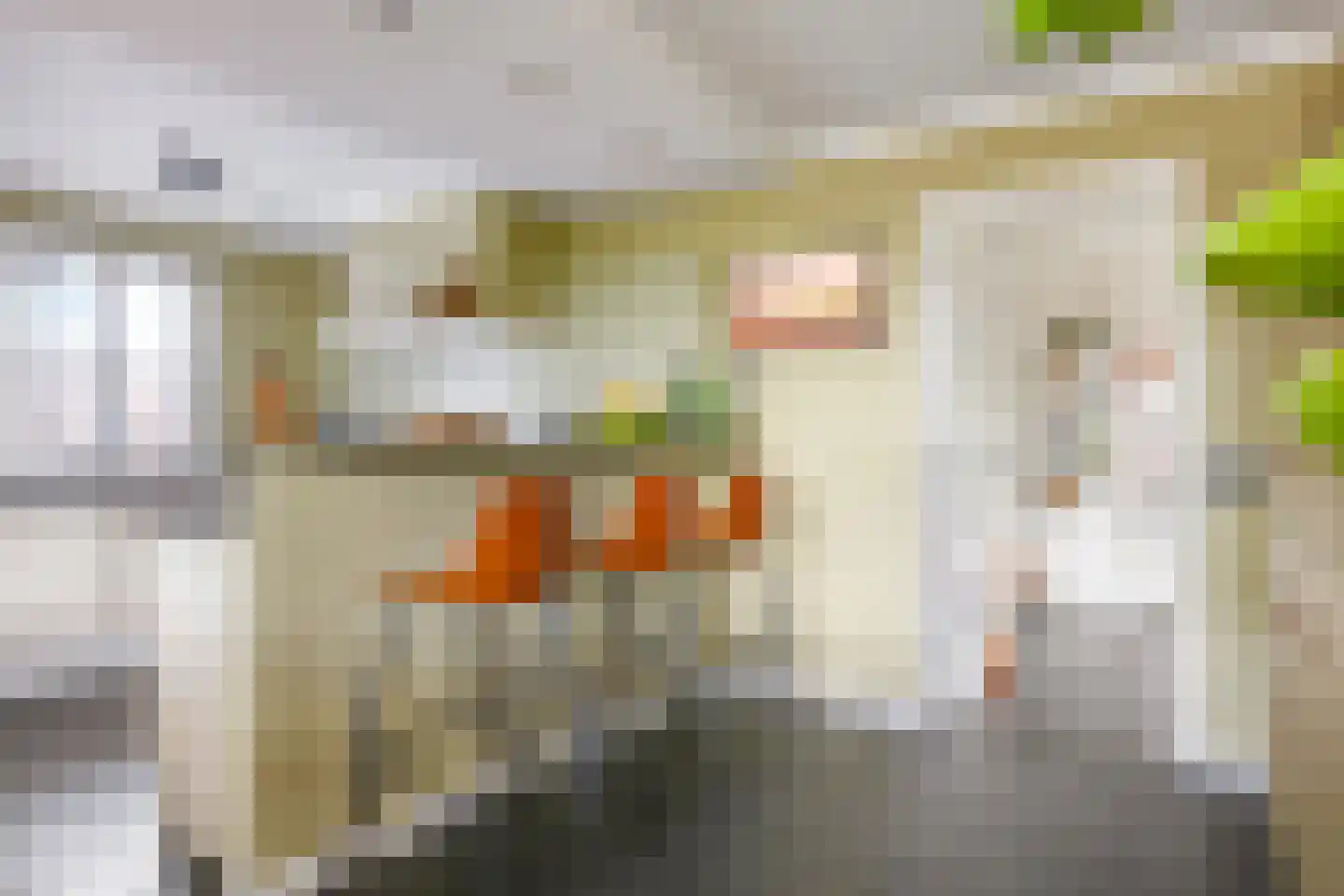 Warnersstraat 4 Gaanderen thumbnail 21