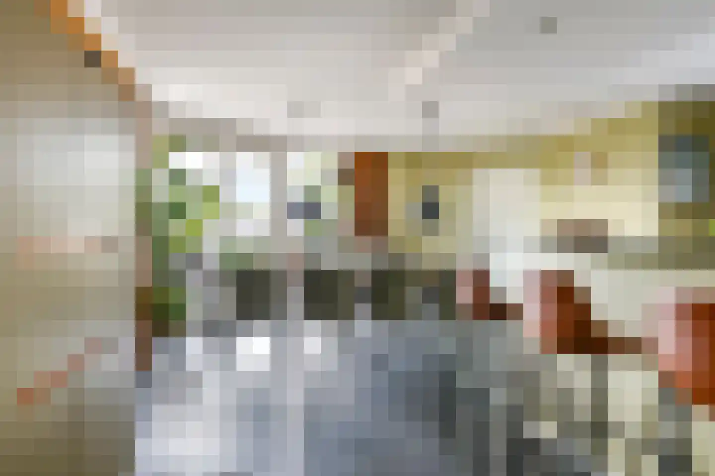 Warnersstraat 4 Gaanderen thumbnail 26