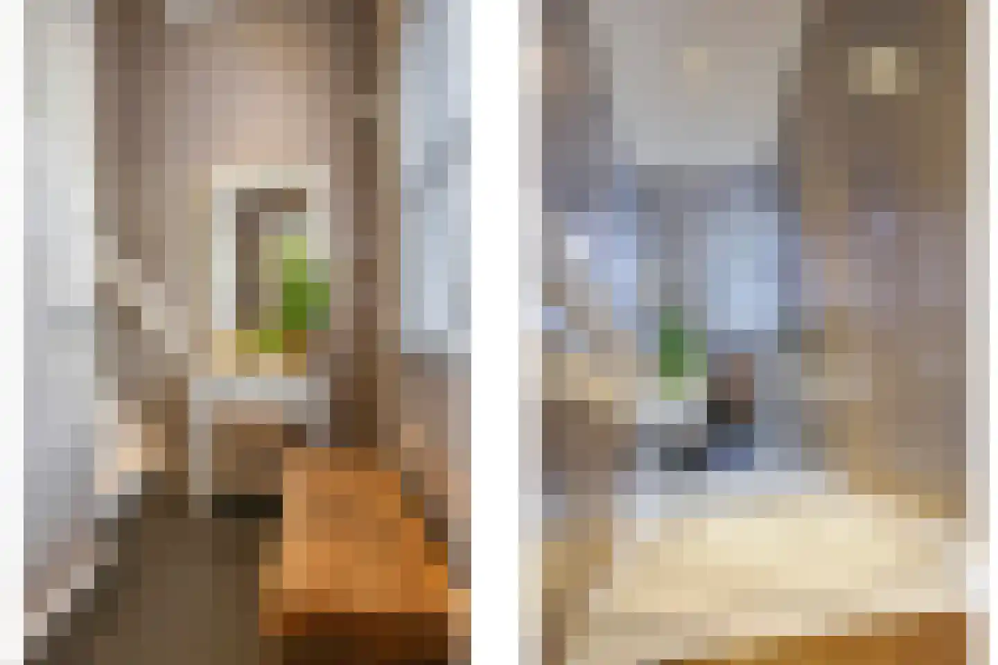 Warnersstraat 4 Gaanderen thumbnail 35