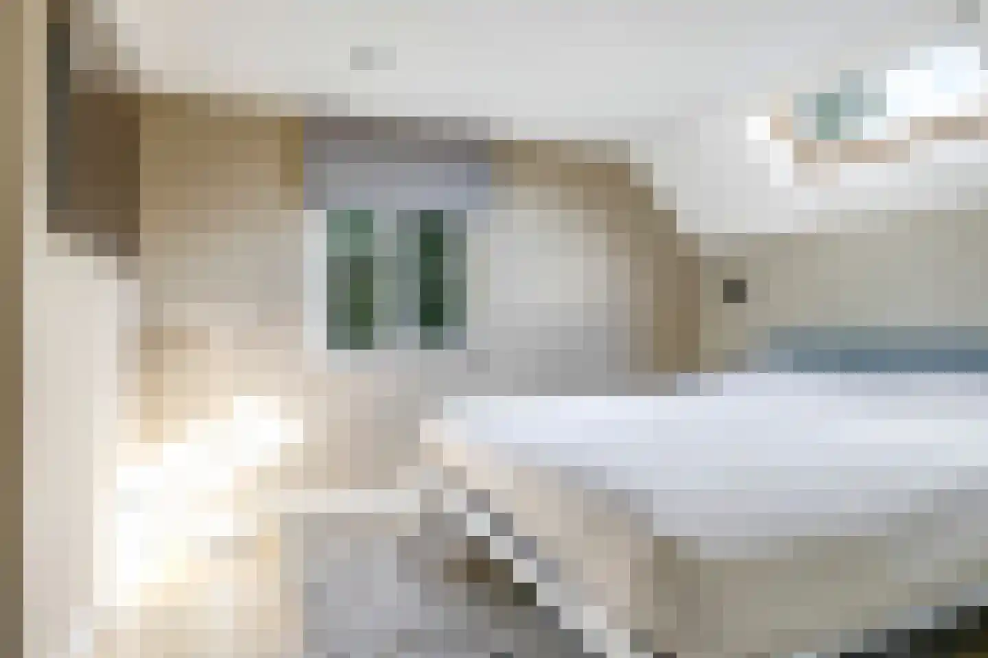 Warnersstraat 4 Gaanderen thumbnail 37