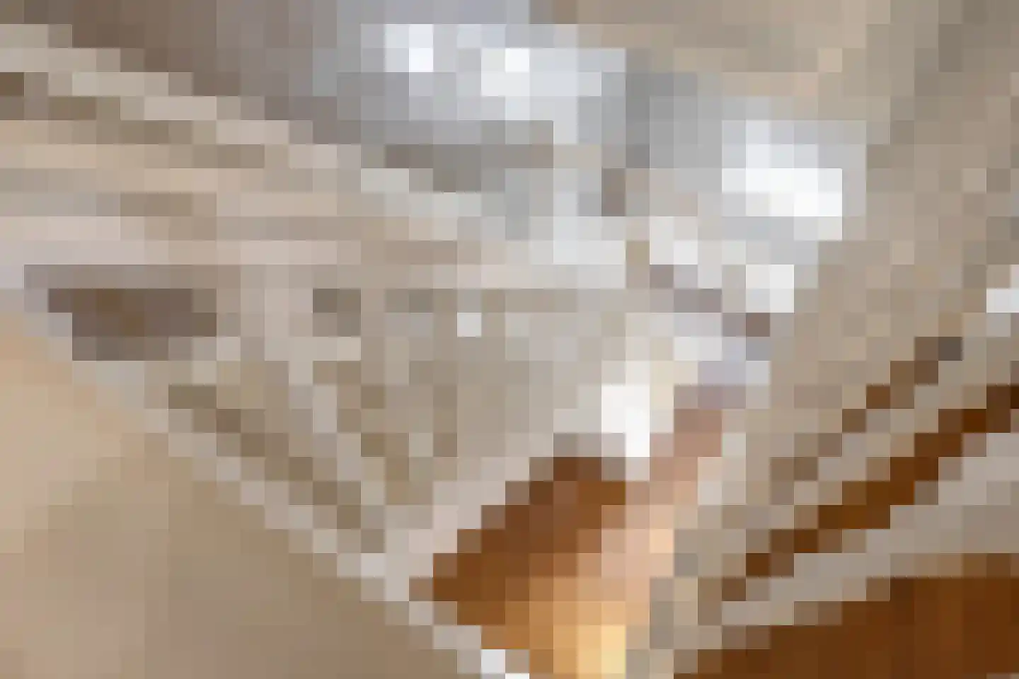 Warnersstraat 4 Gaanderen thumbnail 50