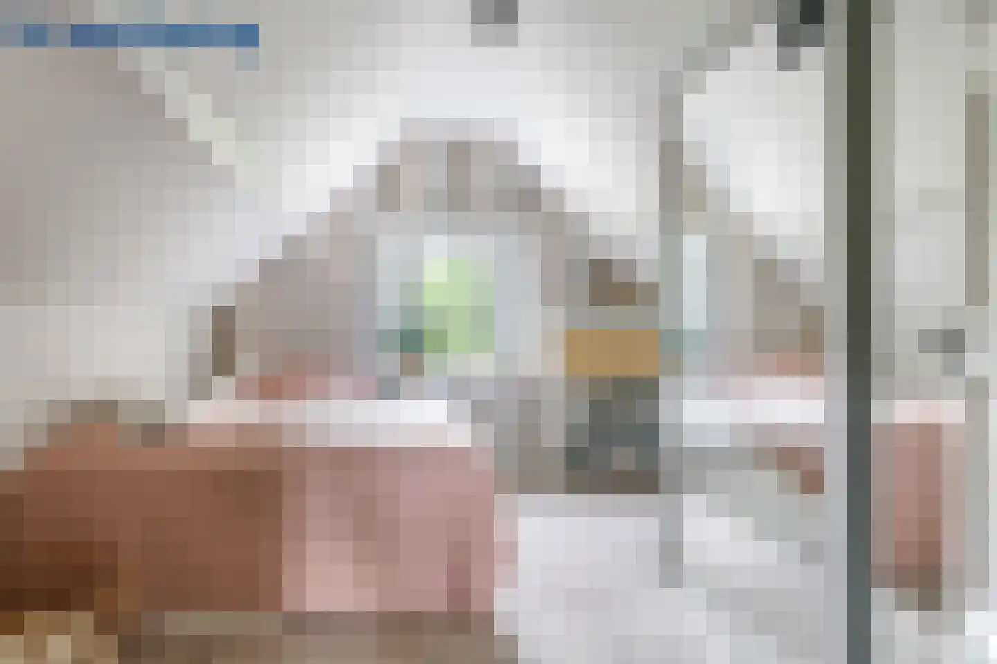 Warnersstraat 4 Gaanderen thumbnail 51