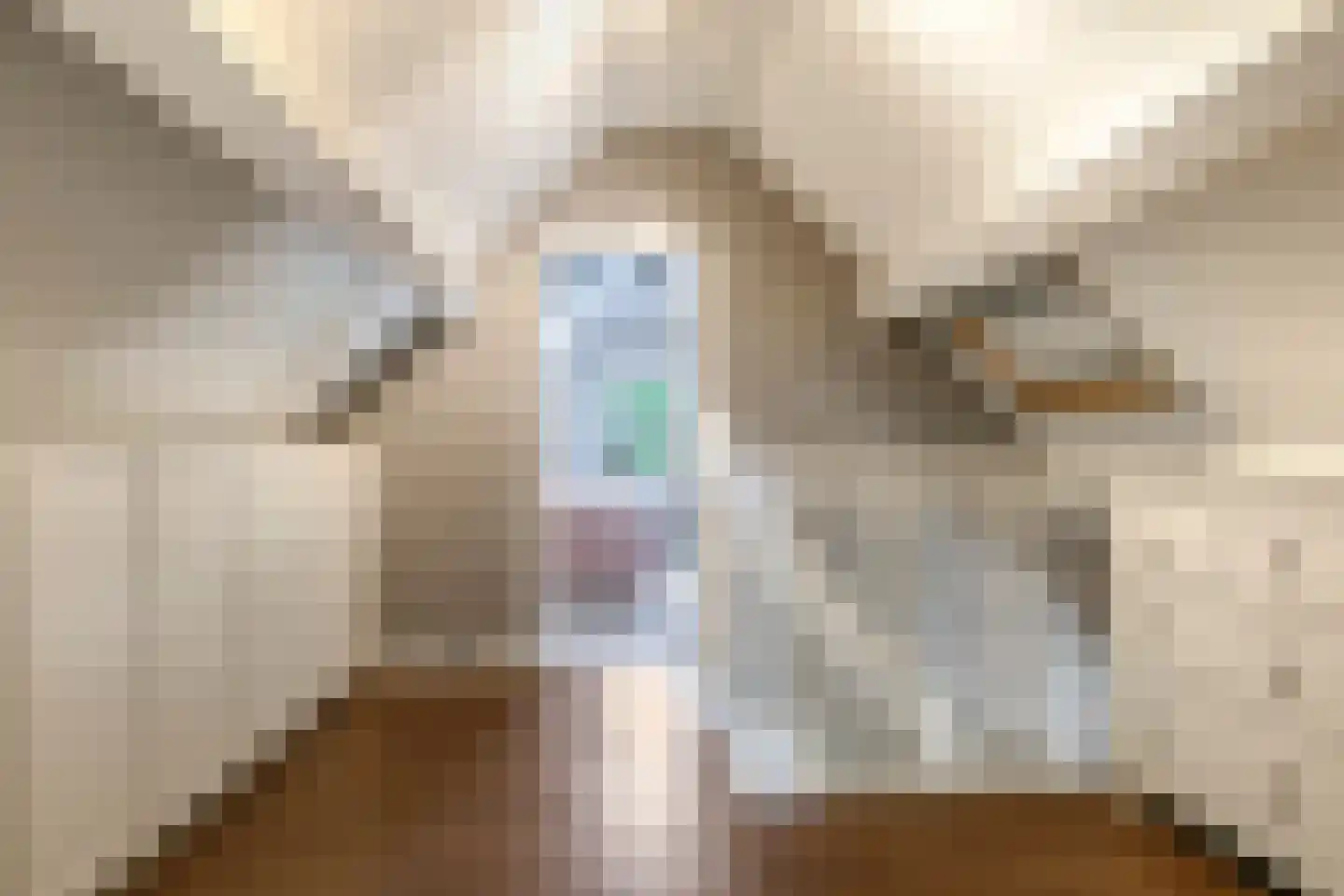 Warnersstraat 4 Gaanderen thumbnail 52