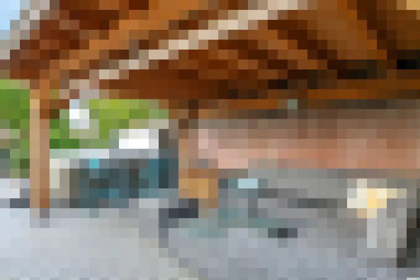 Warnersstraat 4 Gaanderen thumbnail 60