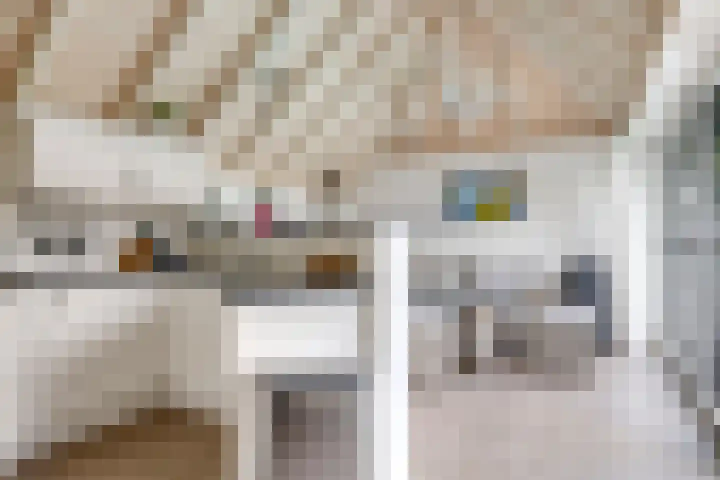 Warnersstraat 4 Gaanderen thumbnail 70