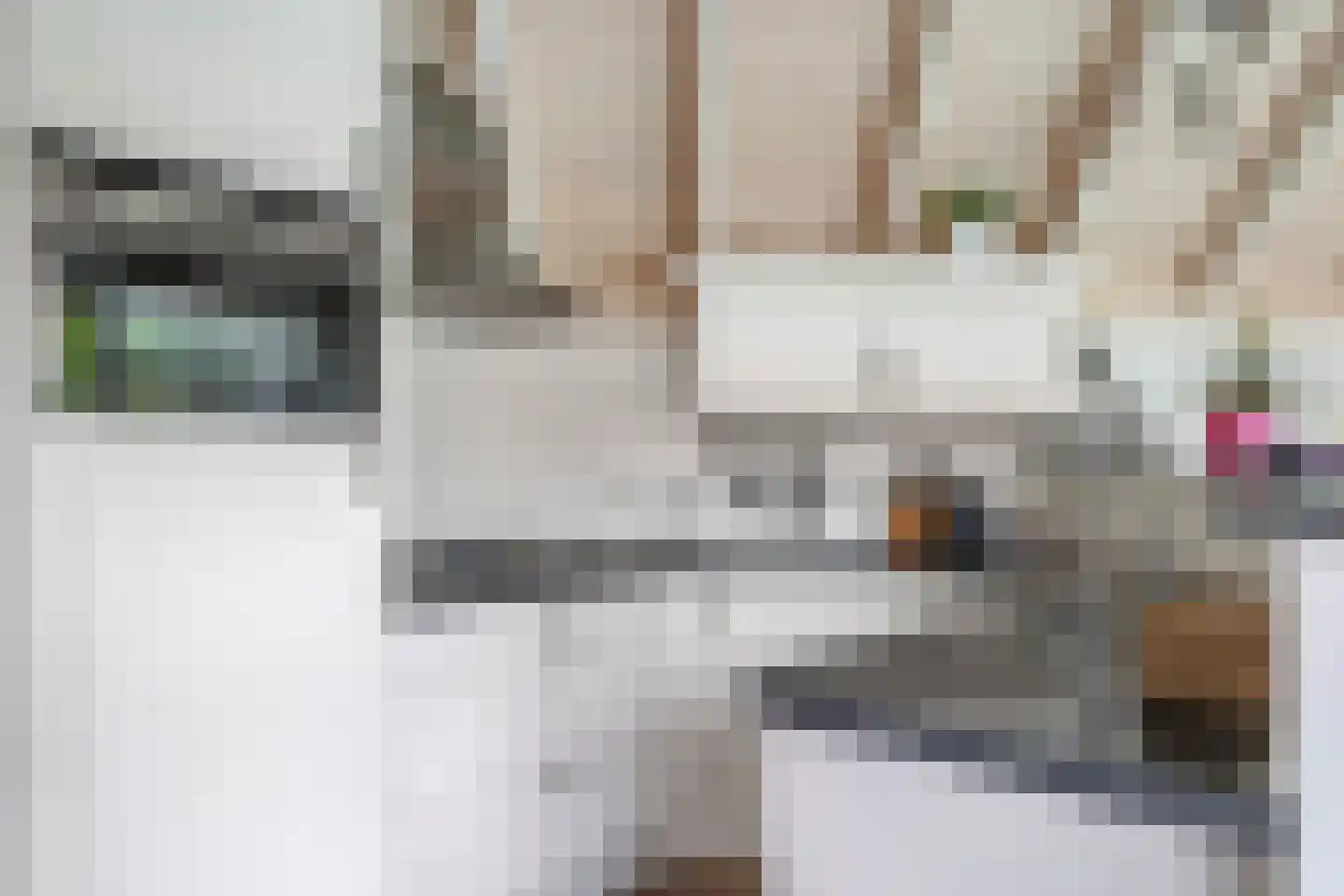 Warnersstraat 4 Gaanderen thumbnail 71