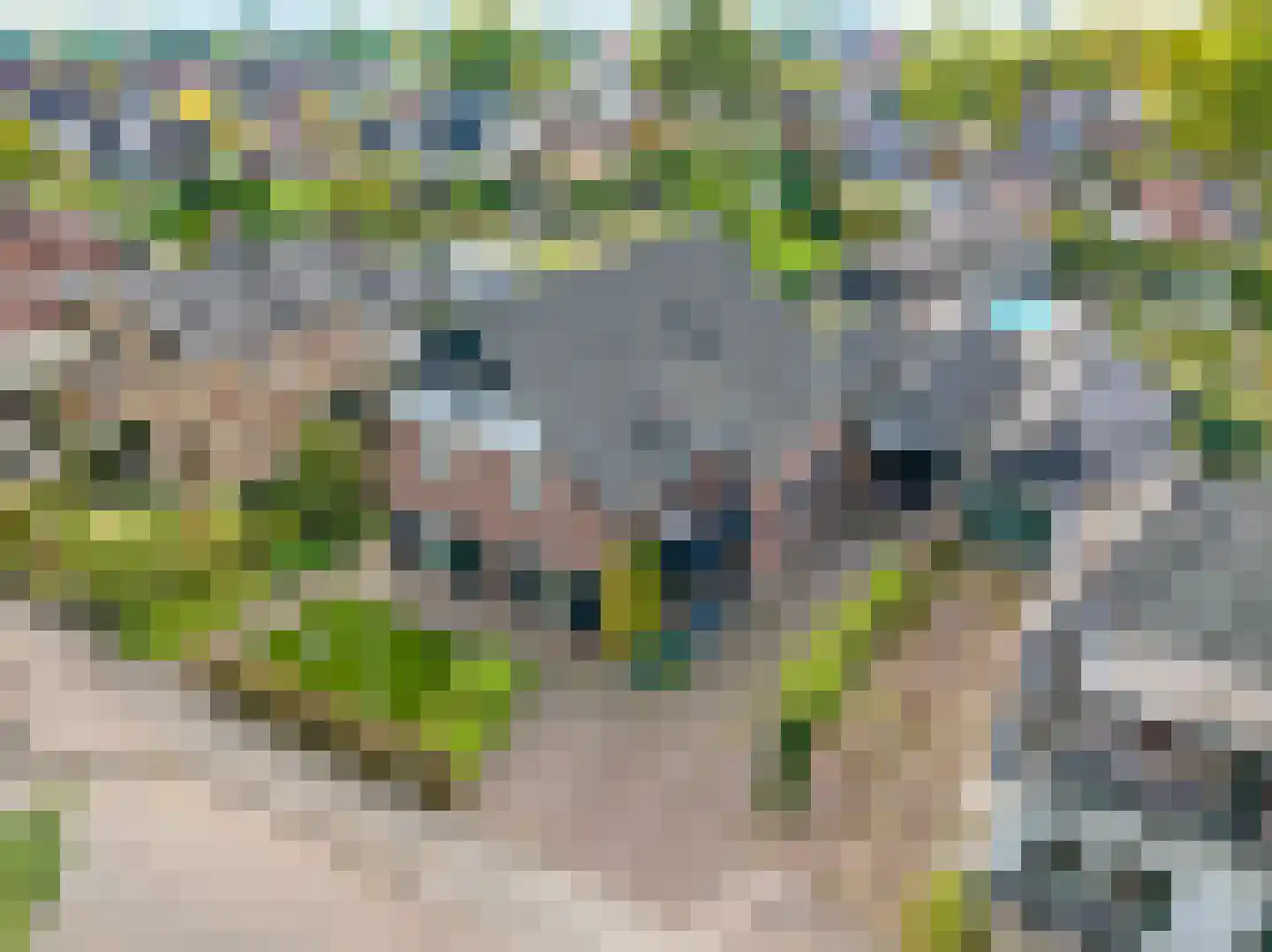 Warnersstraat 4 Gaanderen thumbnail 98