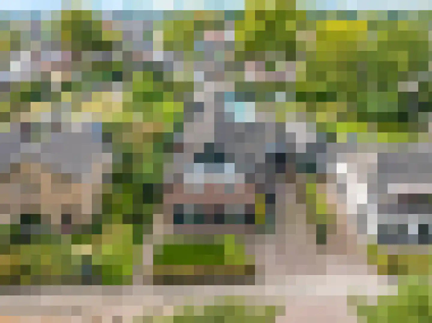 Warnersstraat 4 Gaanderen thumbnail 99