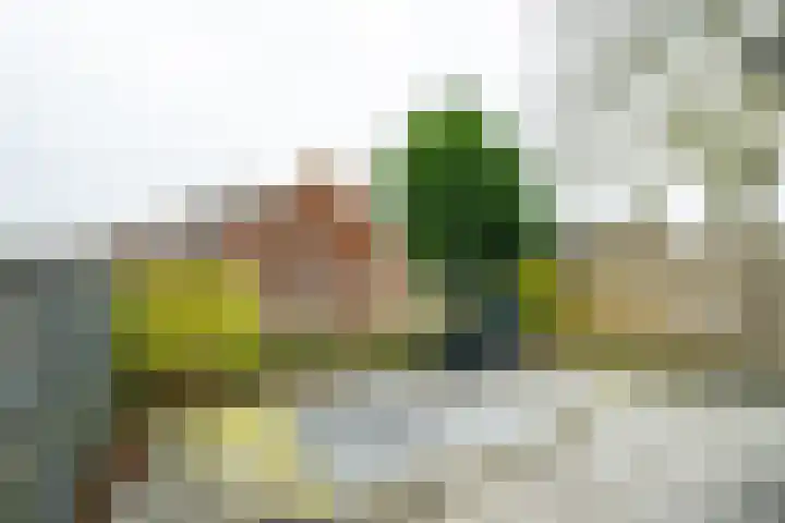 Warnersstraat 52 Gaanderen thumbnail 32