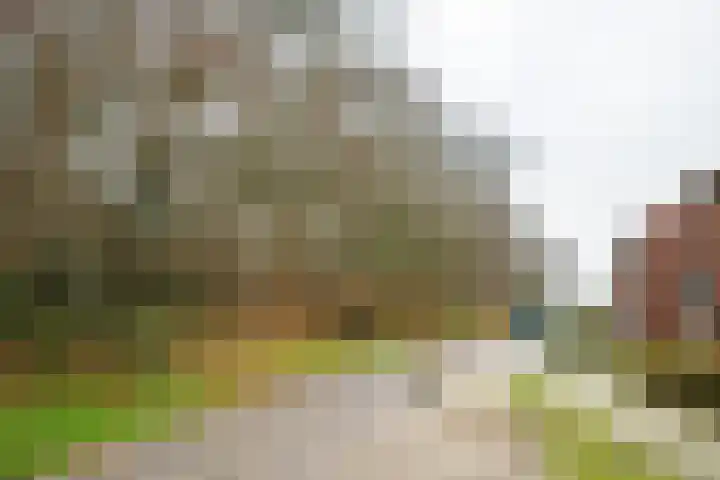 Warnersstraat 52 Gaanderen thumbnail 38