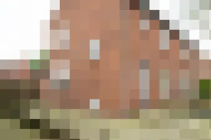 Warnersstraat 52 Gaanderen thumbnail 5