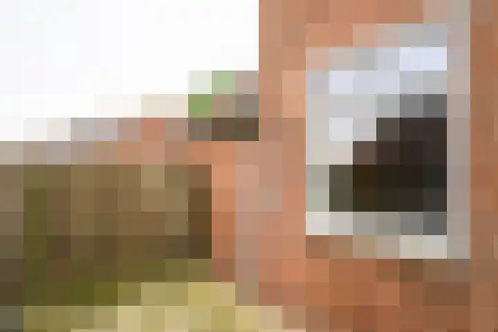 Warnersstraat 52 Gaanderen thumbnail 6