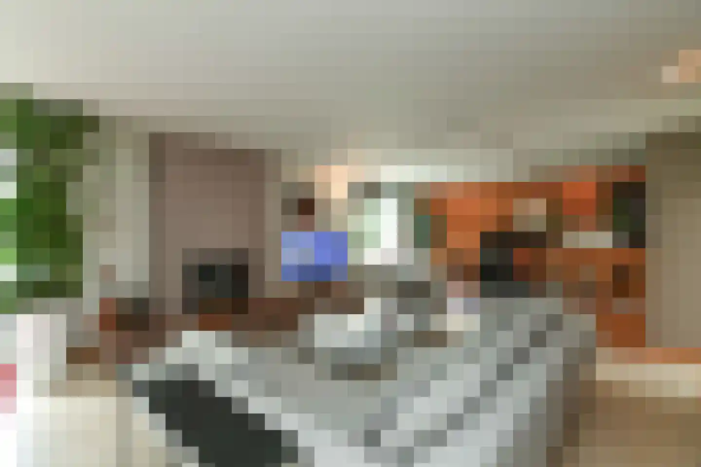 Warnsbornlaan 4 Arnhem thumbnail 12
