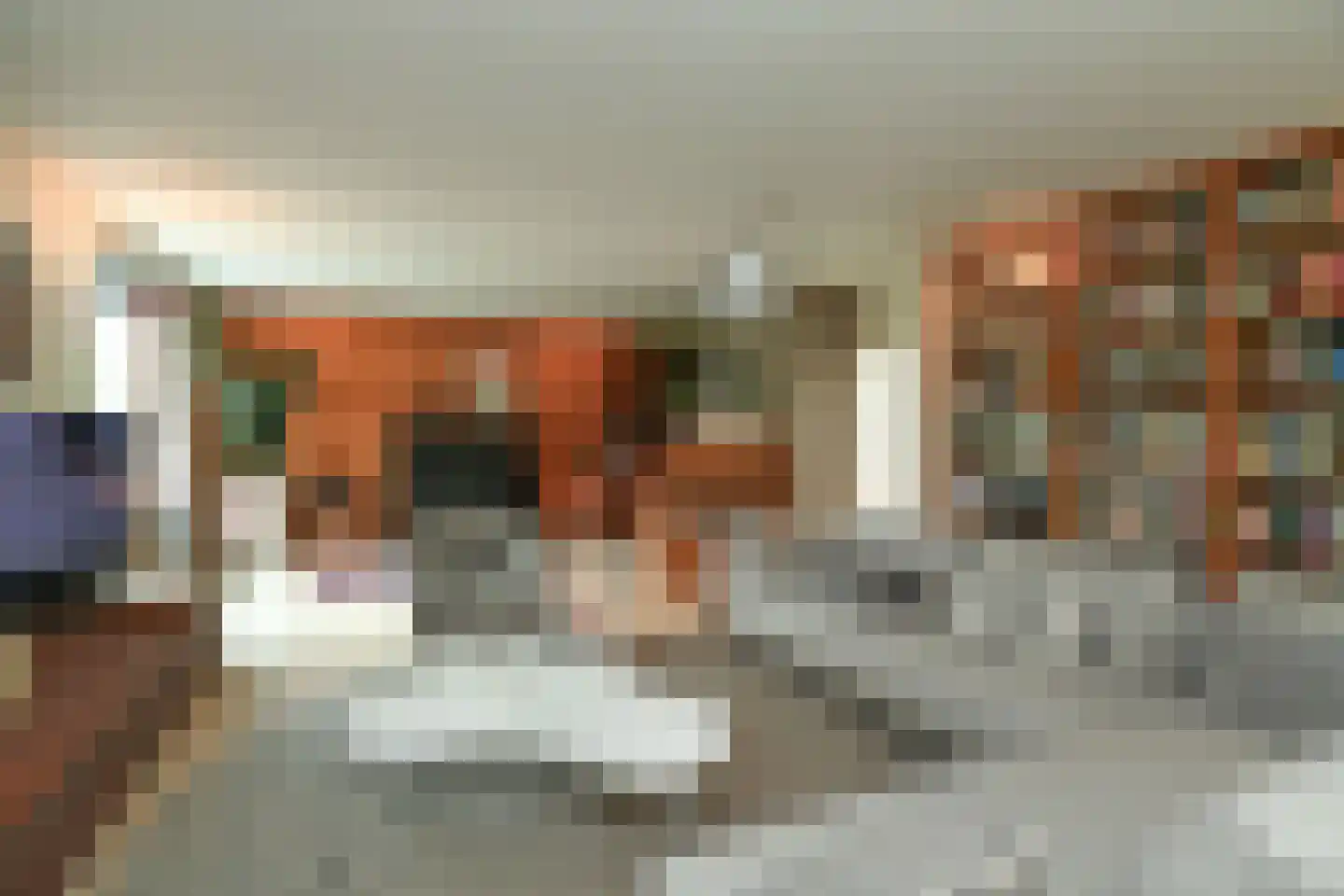 Warnsbornlaan 4 Arnhem thumbnail 13