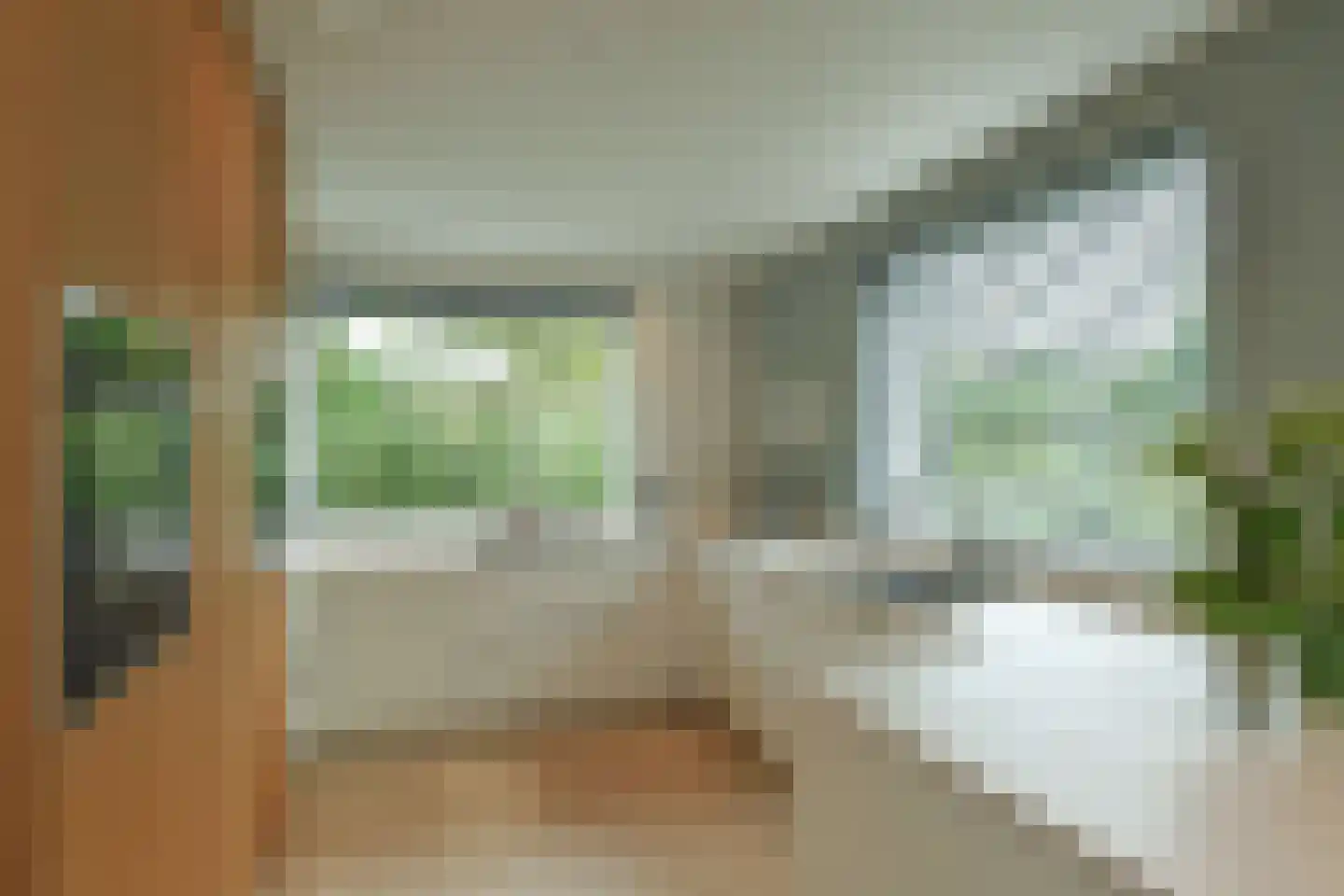 Warnsbornlaan 4 Arnhem thumbnail 21