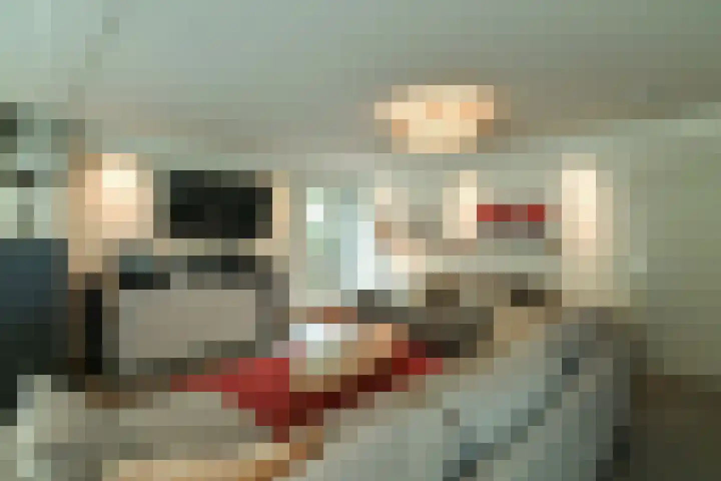 Warnsbornlaan 4 Arnhem thumbnail 30