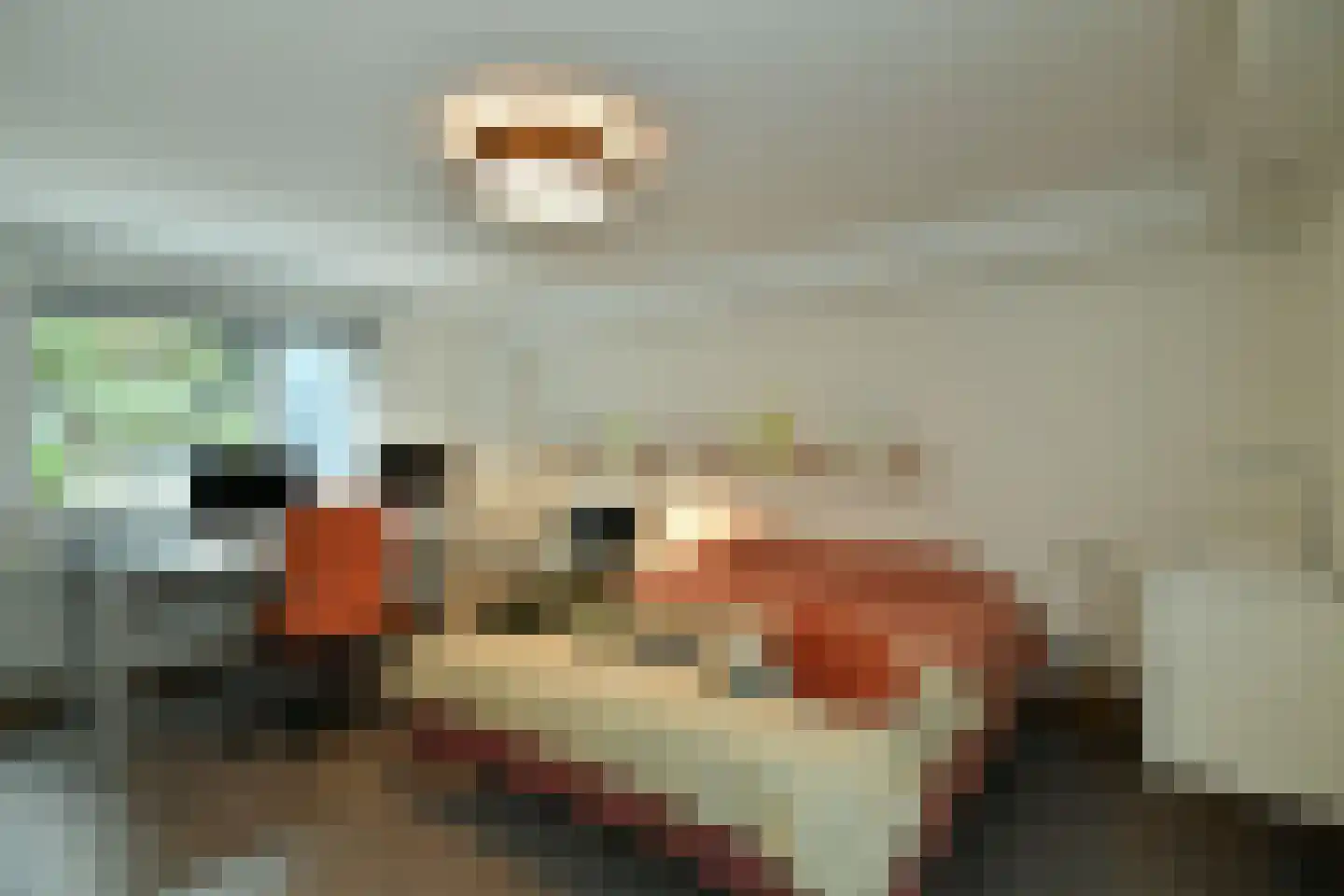 Warnsbornlaan 4 Arnhem thumbnail 33