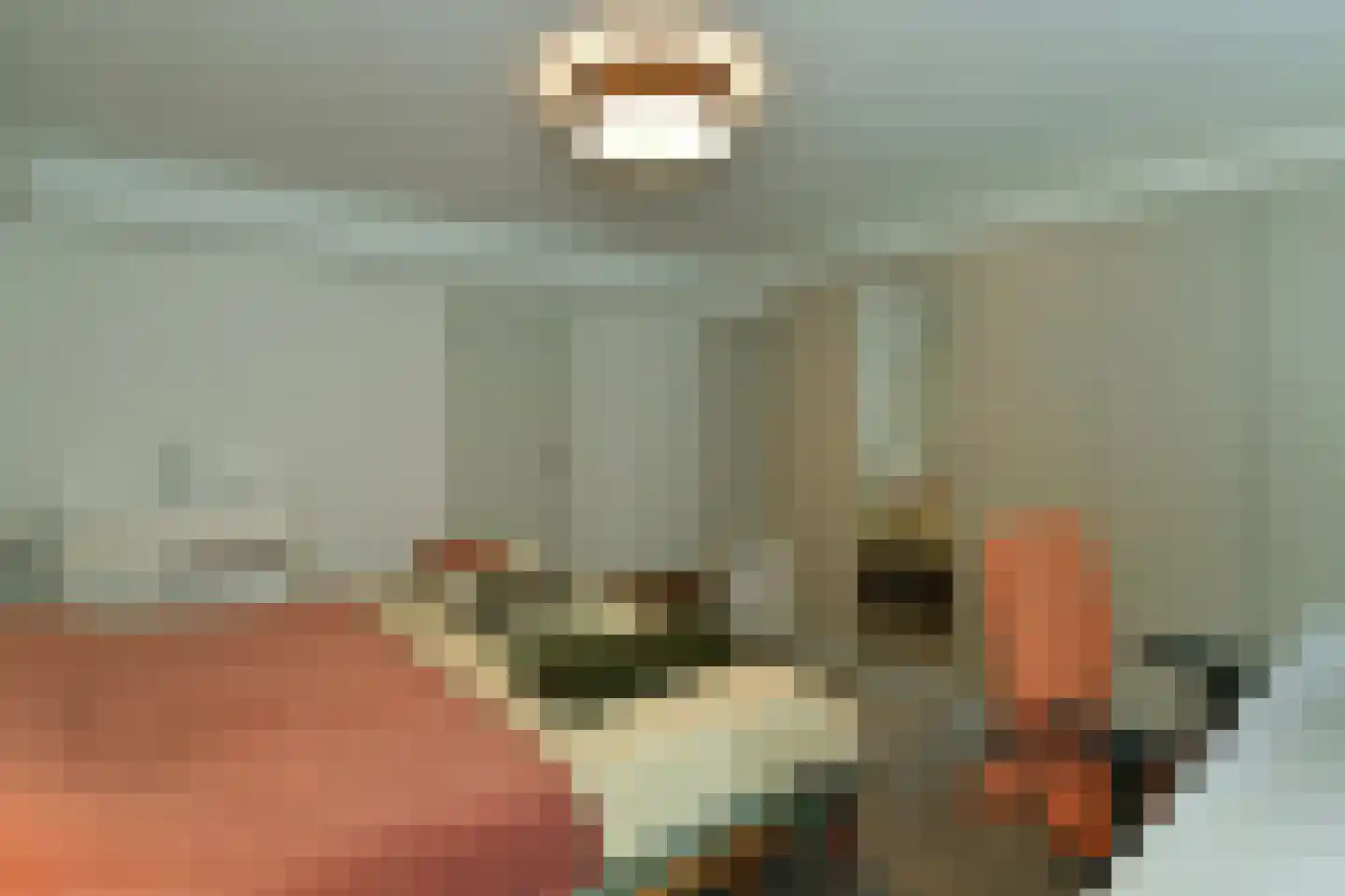 Warnsbornlaan 4 Arnhem thumbnail 34
