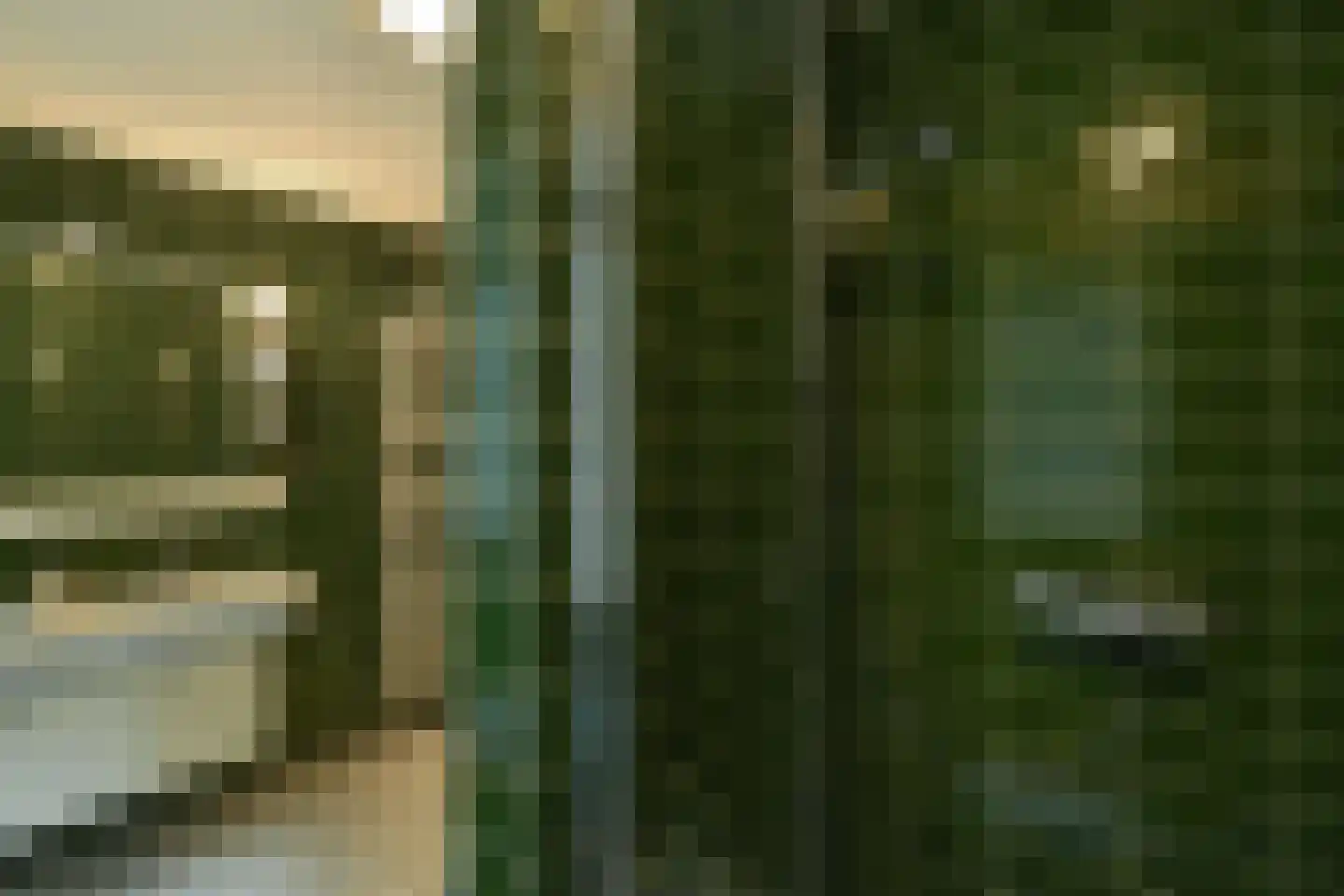 Warnsbornlaan 4 Arnhem thumbnail 38