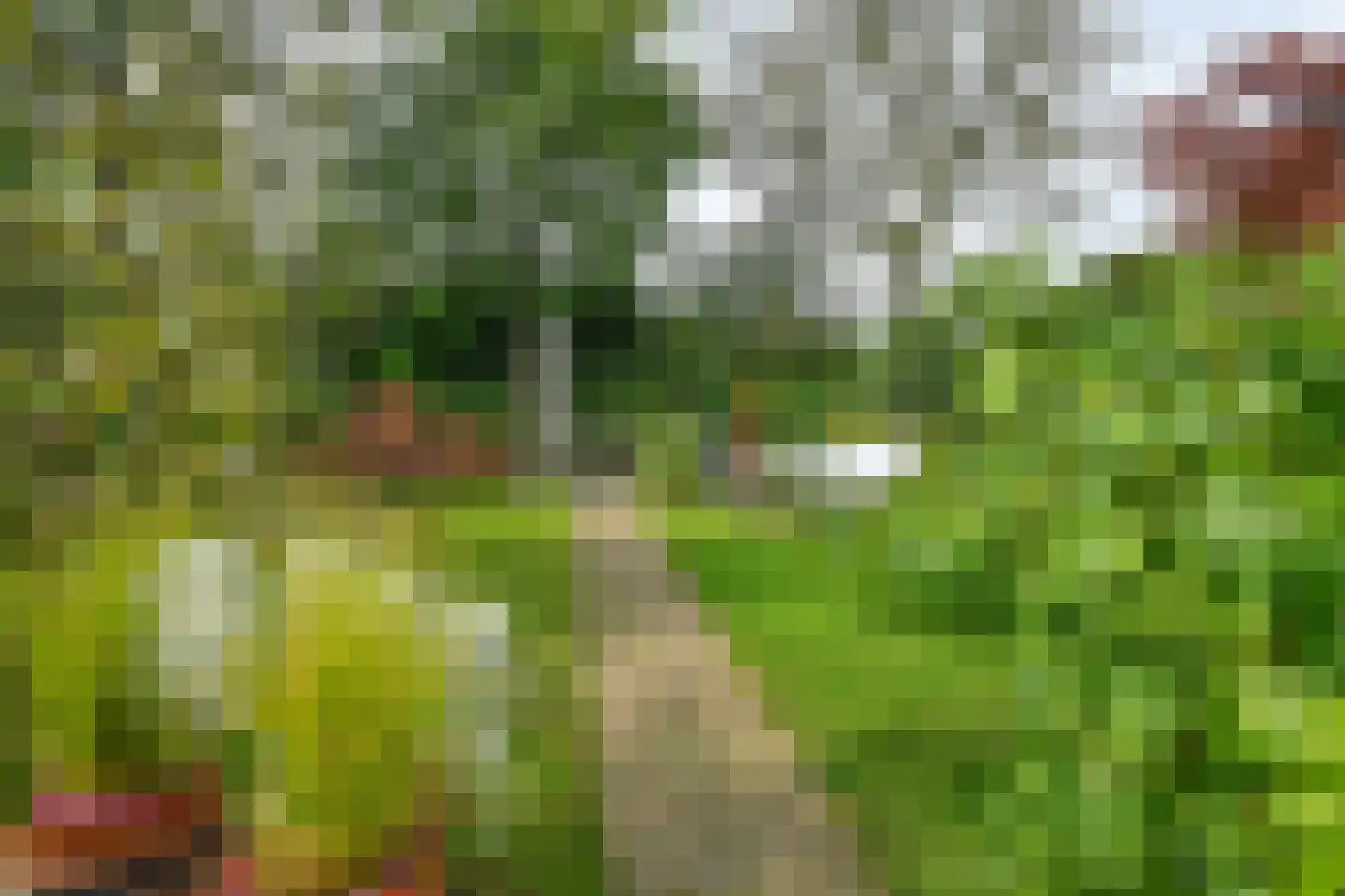 Warnsbornlaan 4 Arnhem thumbnail 46
