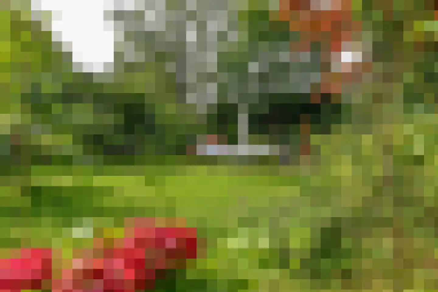 Warnsbornlaan 4 Arnhem thumbnail 5