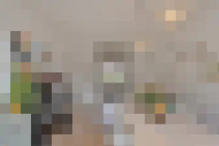 Warnsveldseweg 18 Zutphen thumbnail 19
