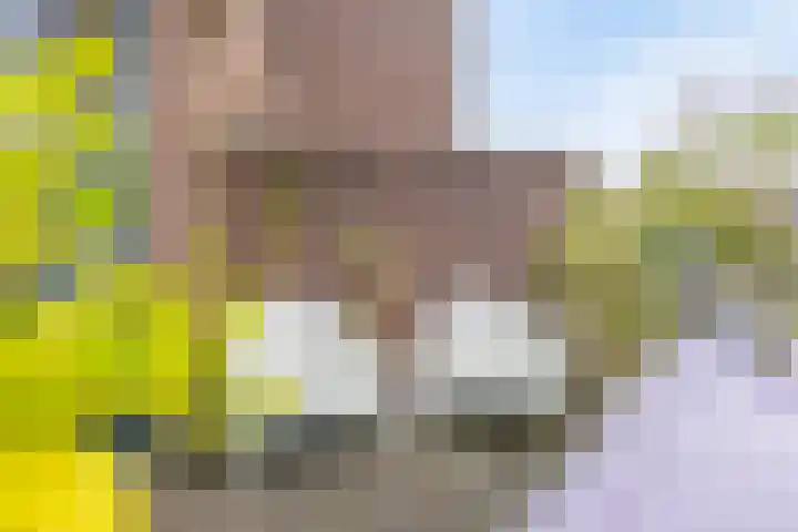 Warnsveldseweg 18 Zutphen thumbnail 28