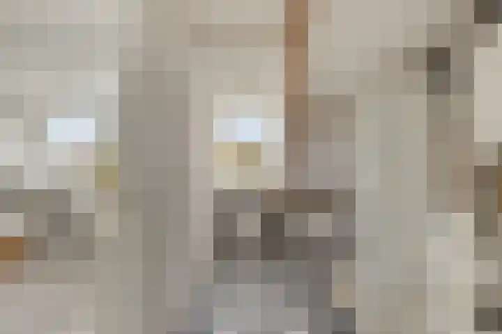 Warnsveldseweg 18 Zutphen thumbnail 36