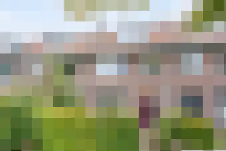 Warnsveldseweg 18 Zutphen thumbnail 4