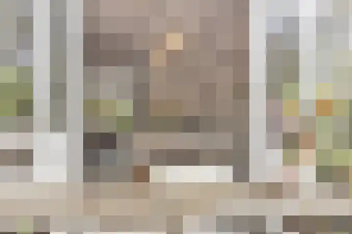 Warnsveldseweg 18 Zutphen thumbnail 42