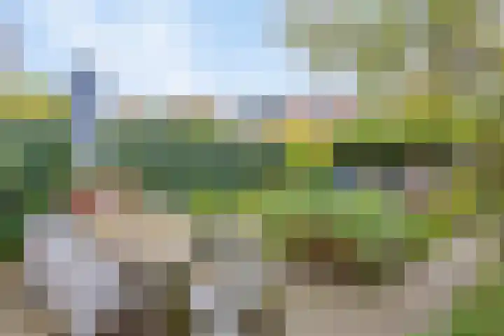 Warnsveldseweg 18 Zutphen thumbnail 43
