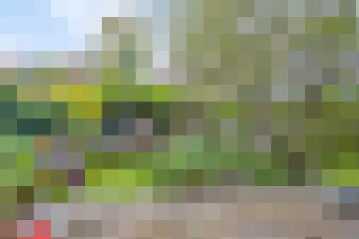Warnsveldseweg 18 Zutphen thumbnail 44
