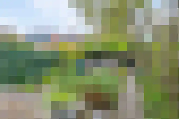 Warnsveldseweg 18 Zutphen thumbnail 45