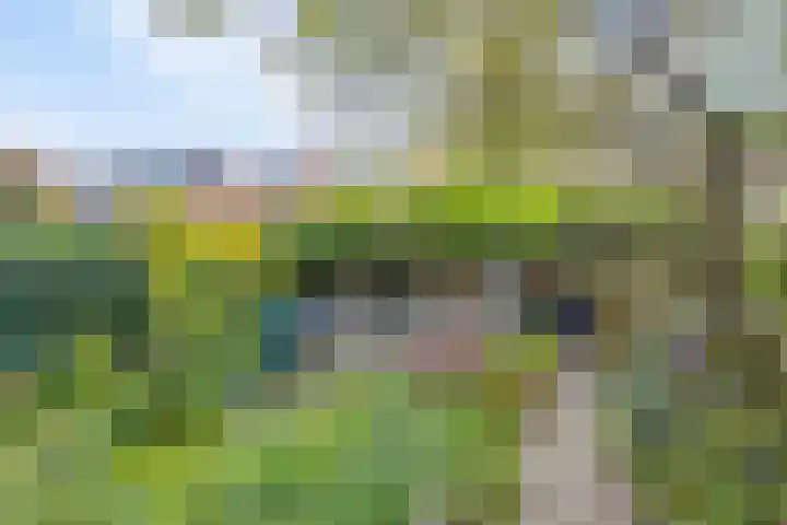 Warnsveldseweg 18 Zutphen thumbnail 46