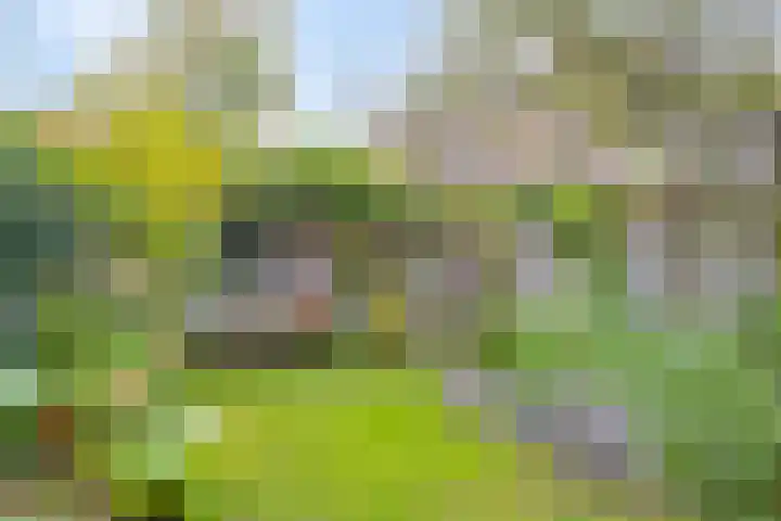 Warnsveldseweg 18 Zutphen thumbnail 47