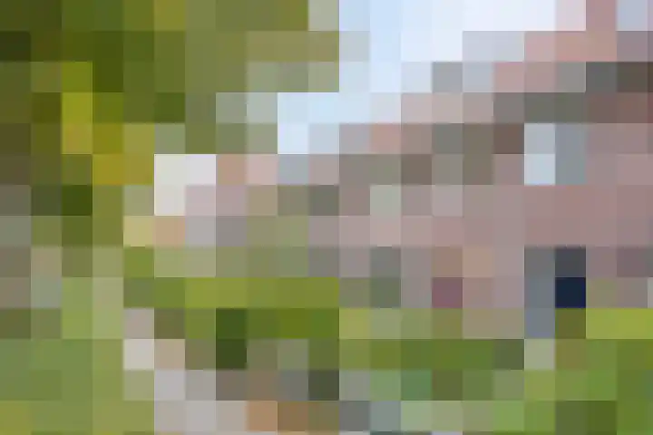 Warnsveldseweg 18 Zutphen thumbnail 5